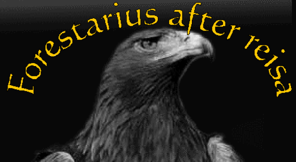 Forestarius after reisa; Eine Reise in die Zeit - zur Startseite